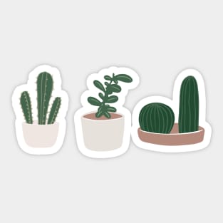 Minimalist cactus plants Sticker